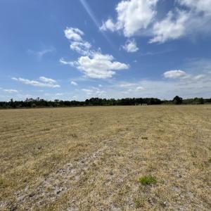 Photo #29 of Off Hwy 41, Trenton, NC 18.1 acres