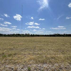 Photo #30 of Off Hwy 41, Trenton, NC 18.1 acres
