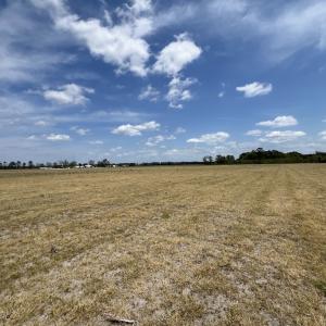 Photo #31 of Off Hwy 41, Trenton, NC 18.1 acres