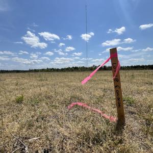 Photo #32 of Off Hwy 41, Trenton, NC 18.1 acres