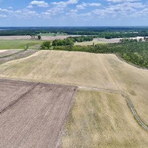 Photo #5 of Off Hwy 41, Trenton, NC 18.1 acres