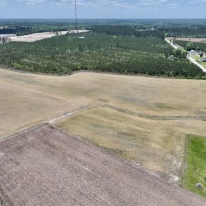 Photo #6 of Off Hwy 41, Trenton, NC 18.1 acres