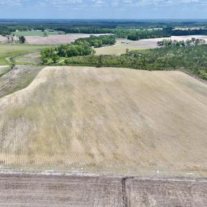 Photo #7 of Off Hwy 41, Trenton, NC 18.1 acres
