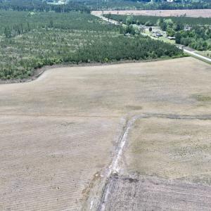 Photo #8 of Off Hwy 41, Trenton, NC 18.1 acres