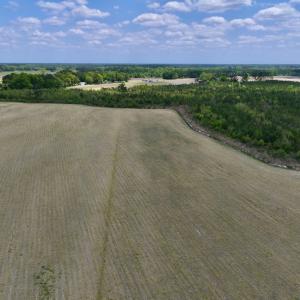 Photo #10 of Off Hwy 41, Trenton, NC 20.0 acres