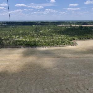 Photo #12 of Off Hwy 41, Trenton, NC 20.0 acres