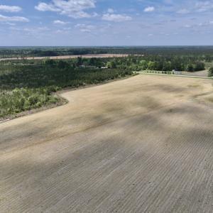 Photo #13 of Off Hwy 41, Trenton, NC 20.0 acres
