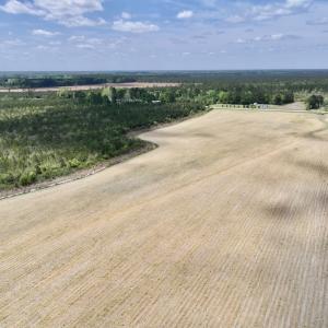 Photo #14 of Off Hwy 41, Trenton, NC 20.0 acres