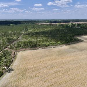 Photo #15 of Off Hwy 41, Trenton, NC 20.0 acres