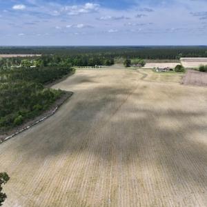 Photo #16 of Off Hwy 41, Trenton, NC 20.0 acres