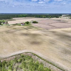 Photo #19 of Off Hwy 41, Trenton, NC 20.0 acres