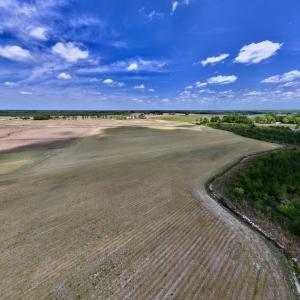 Photo #2 of Off Hwy 41, Trenton, NC 20.0 acres