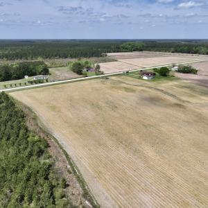 Photo #20 of Off Hwy 41, Trenton, NC 20.0 acres