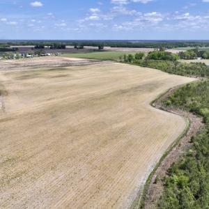 Photo #22 of Off Hwy 41, Trenton, NC 20.0 acres
