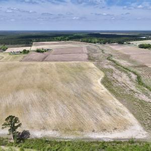 Photo #23 of Off Hwy 41, Trenton, NC 20.0 acres