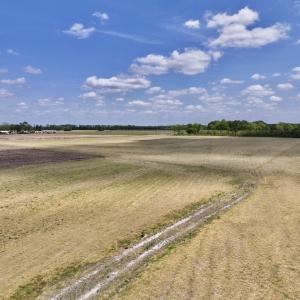 Photo #24 of Off Hwy 41, Trenton, NC 20.0 acres