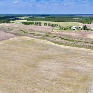 Photo #25 of Off Hwy 41, Trenton, NC 20.0 acres