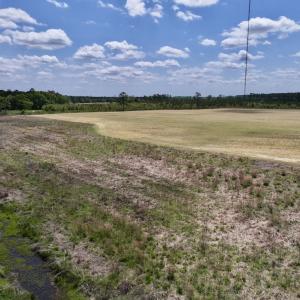 Photo #26 of Off Hwy 41, Trenton, NC 20.0 acres