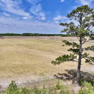 Photo #27 of Off Hwy 41, Trenton, NC 20.0 acres
