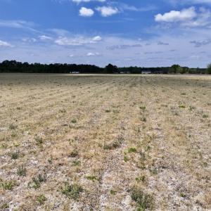 Photo #28 of Off Hwy 41, Trenton, NC 20.0 acres