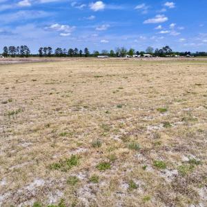 Photo #29 of Off Hwy 41, Trenton, NC 20.0 acres