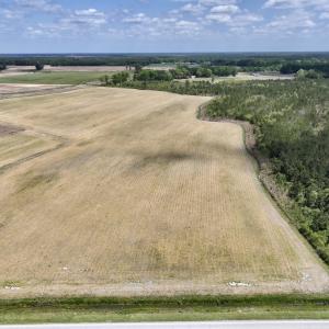 Photo #3 of Off Hwy 41, Trenton, NC 20.0 acres