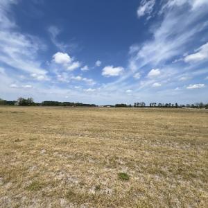 Photo #31 of Off Hwy 41, Trenton, NC 20.0 acres