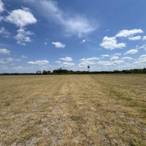 Photo #32 of Off Hwy 41, Trenton, NC 20.0 acres