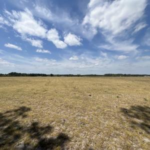 Photo #33 of Off Hwy 41, Trenton, NC 20.0 acres