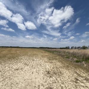 Photo #34 of Off Hwy 41, Trenton, NC 20.0 acres