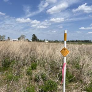 Photo #35 of Off Hwy 41, Trenton, NC 20.0 acres