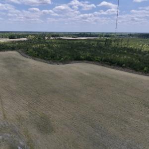 Photo #8 of Off Hwy 41, Trenton, NC 20.0 acres