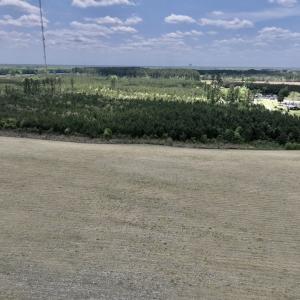 Photo #9 of Off Hwy 41, Trenton, NC 20.0 acres