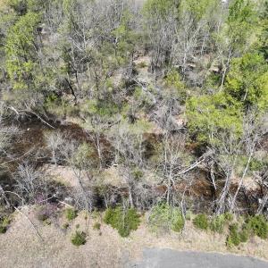 Photo #10 of Off Paint Bank Rd, New Castle, VA 2.1 acres