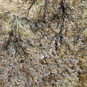 Photo #13 of Off Paint Bank Rd, New Castle, VA 2.1 acres