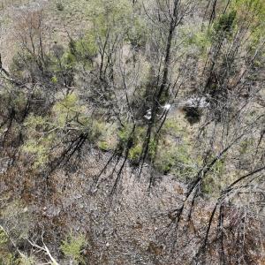 Photo #15 of Off Paint Bank Rd, New Castle, VA 2.1 acres