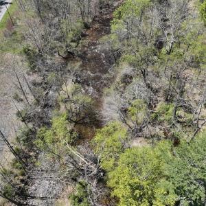 Photo #18 of Off Paint Bank Rd, New Castle, VA 2.1 acres