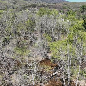 Photo #5 of Off Paint Bank Rd, New Castle, VA 2.1 acres