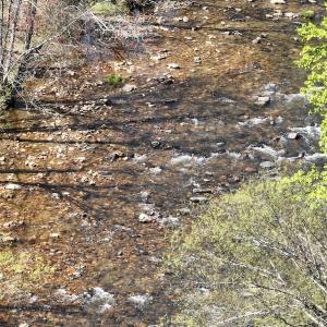 Photo #8 of Off Paint Bank Rd, New Castle, VA 2.1 acres
