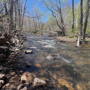 Photo #21 of Off Paint Bank Rd, New Castle, VA 2.1 acres
