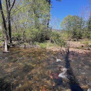 Photo #22 of Off Paint Bank Rd, New Castle, VA 2.1 acres