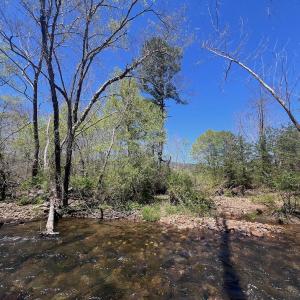 Photo #26 of Off Paint Bank Rd, New Castle, VA 2.1 acres