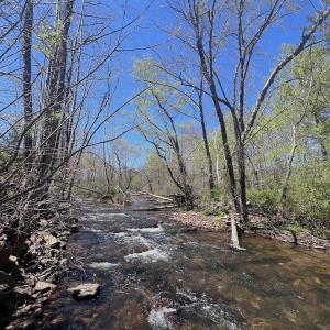 Photo #27 of Off Paint Bank Rd, New Castle, VA 2.1 acres