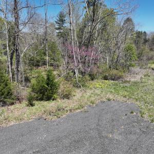 Photo #39 of Off Paint Bank Rd, New Castle, VA 2.1 acres
