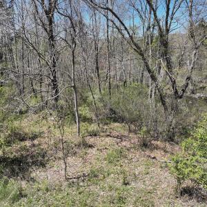 Photo #41 of Off Paint Bank Rd, New Castle, VA 2.1 acres