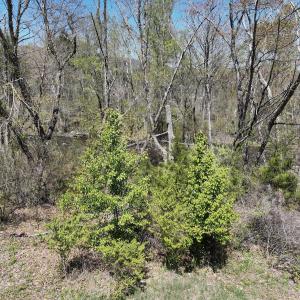Photo #42 of Off Paint Bank Rd, New Castle, VA 2.1 acres