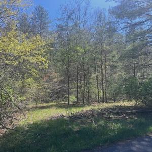 Photo #12 of Off Peaceful Valley Rd, New Castle, VA 0.8 acres