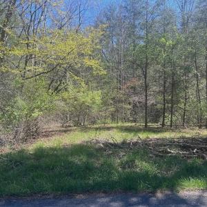 Photo #13 of Off Peaceful Valley Rd, New Castle, VA 0.8 acres