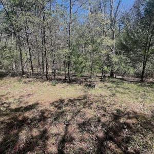 Photo #15 of Off Peaceful Valley Rd, New Castle, VA 0.8 acres