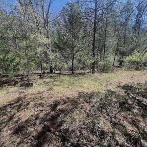 Photo #16 of Off Peaceful Valley Rd, New Castle, VA 0.8 acres